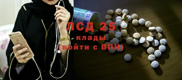 шишки Ельня