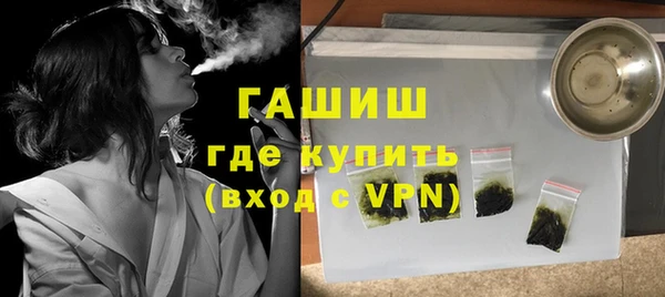 шишки Ельня