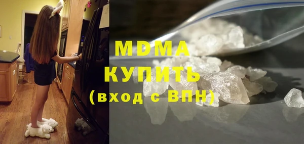 шишки Ельня