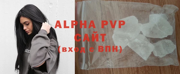 шишки Ельня