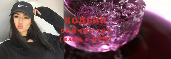 шишки Ельня