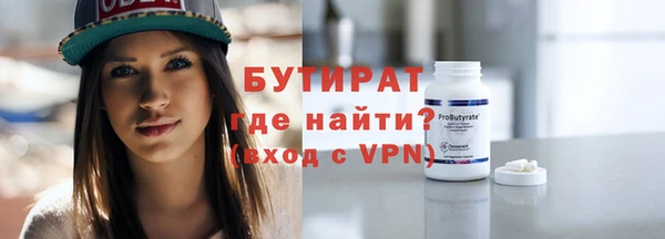 шишки Ельня