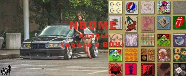 шишки Ельня