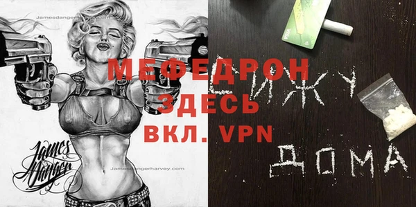 шишки Ельня