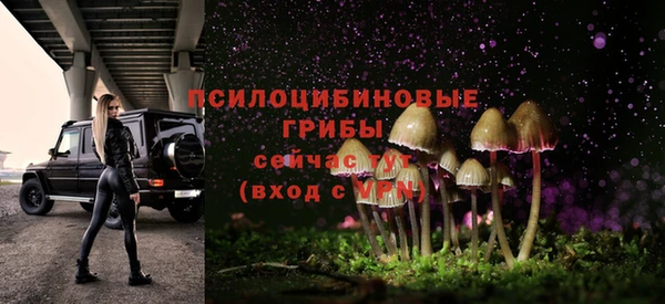 ПСИЛОЦИБИНОВЫЕ ГРИБЫ Заводоуковск