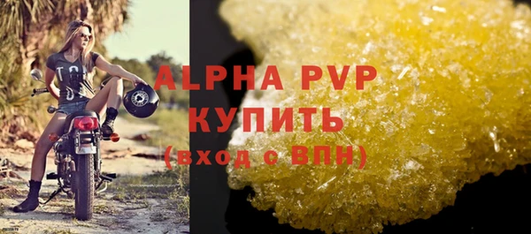 шишки Ельня