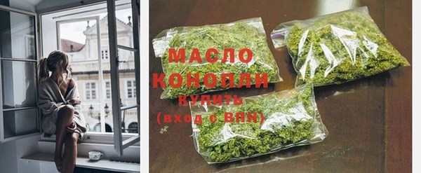 шишки Ельня