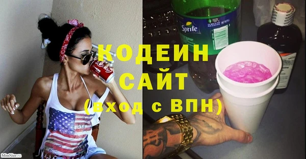 шишки Ельня