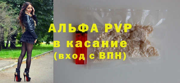 шишки Ельня