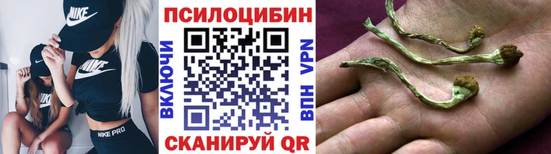 Псилоцибиновые грибы Magic Shrooms  Купить  Когалым 